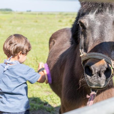 Ferienwohnung Friesenhof Janssen - Urlaub auf dem Bauernhof Neuharlingersiel Exterior foto
