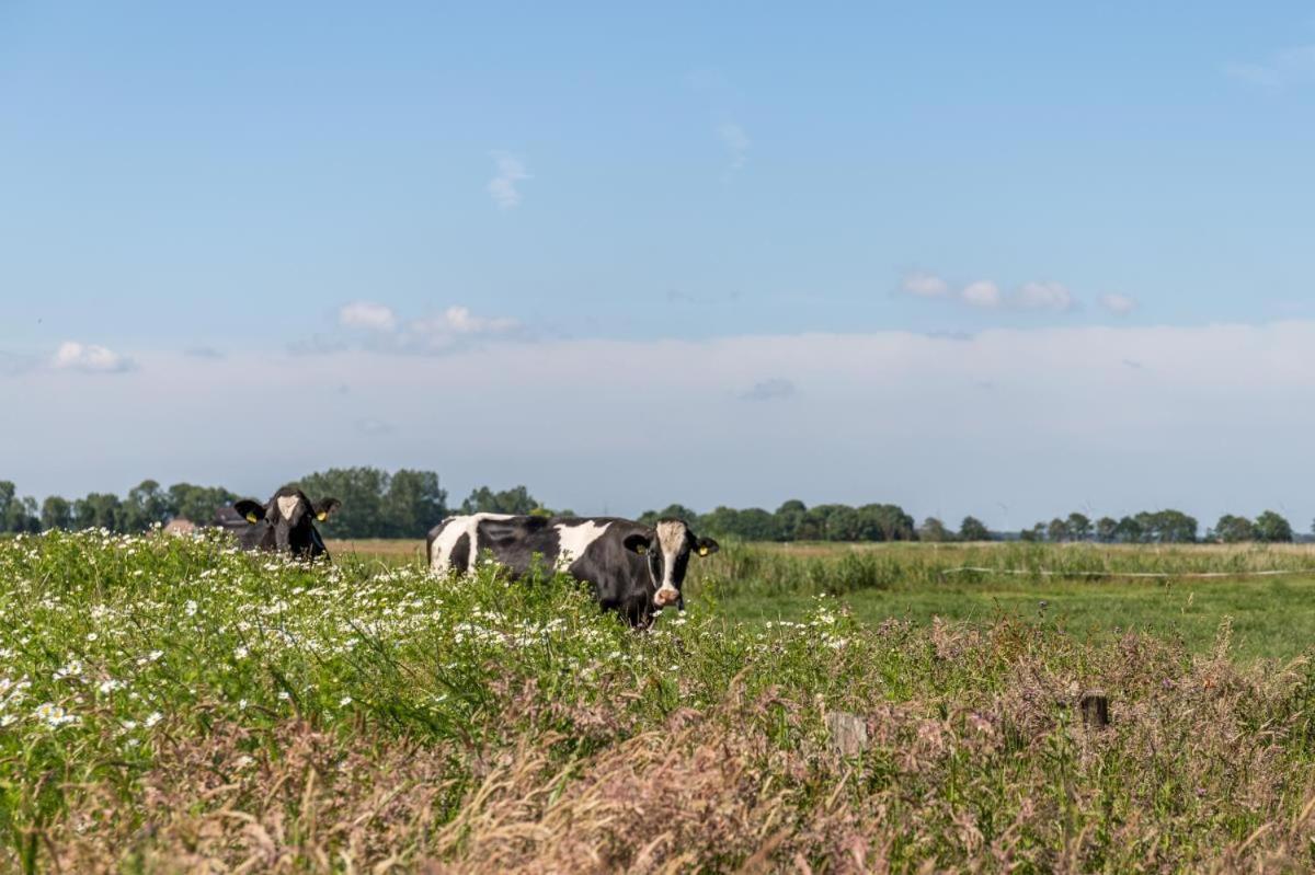 Ferienwohnung Friesenhof Janssen - Urlaub auf dem Bauernhof Neuharlingersiel Exterior foto