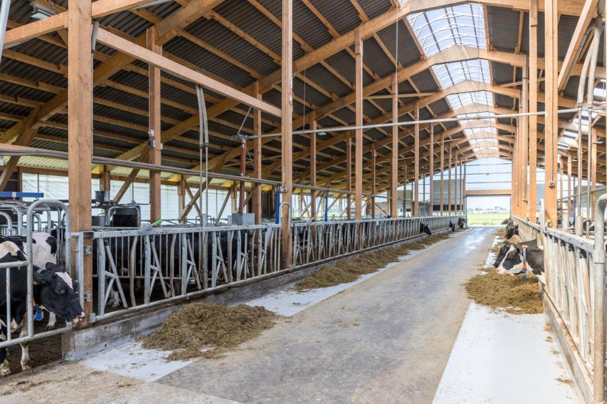 Ferienwohnung Friesenhof Janssen - Urlaub auf dem Bauernhof Neuharlingersiel Exterior foto